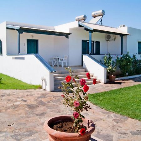 Fotini Apartments Palekastro Dış mekan fotoğraf