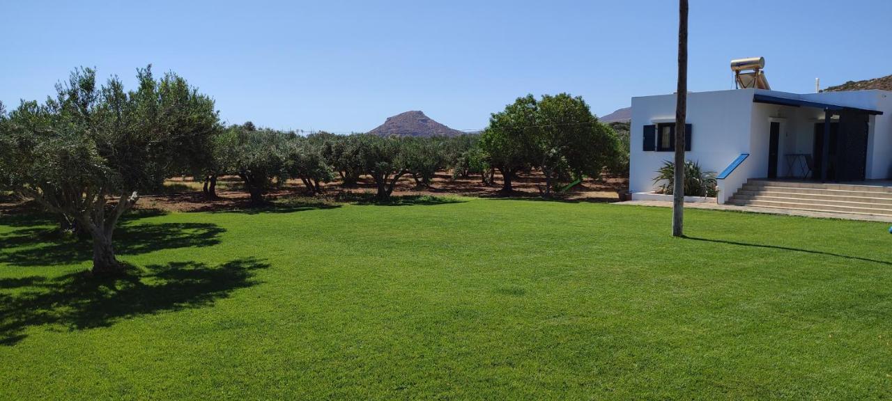 Fotini Apartments Palekastro Dış mekan fotoğraf