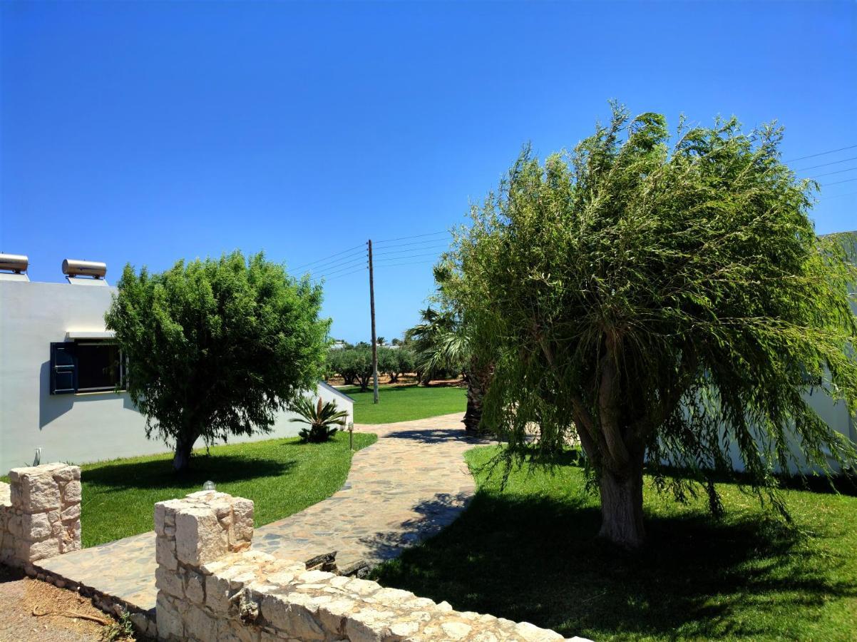 Fotini Apartments Palekastro Dış mekan fotoğraf